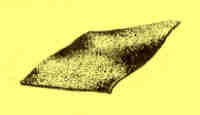 pfanstiehl-carpet_DKGRAY.JPG (2351 bytes)